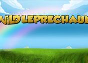 Автомат Wild Leprechaun